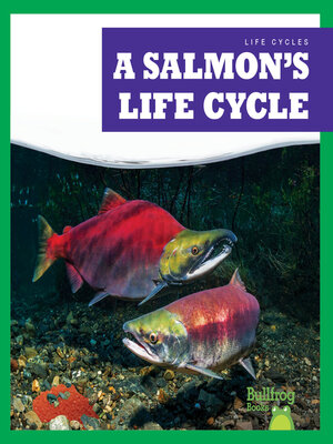 cover image of A Salmon's Life Cycle